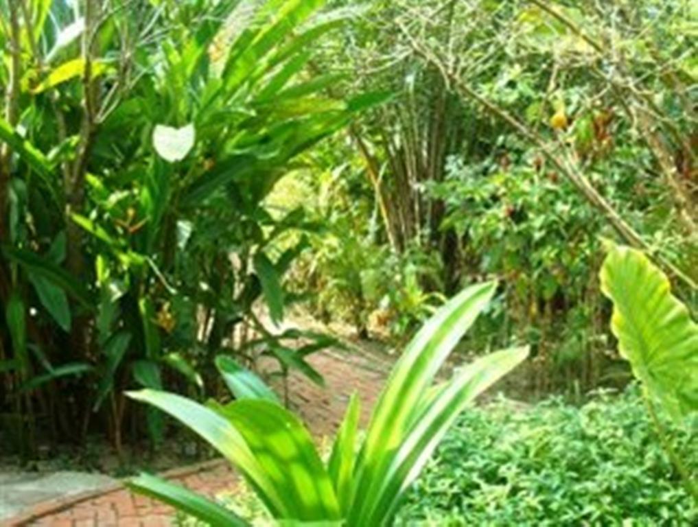Botanica Kep Exterior photo